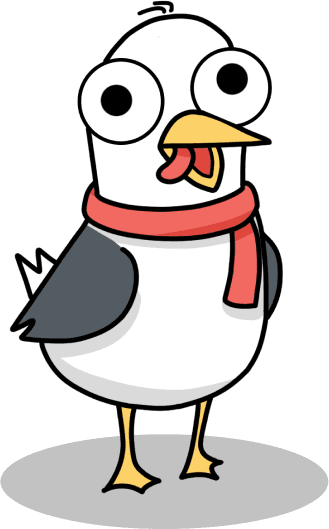 Teen seagull